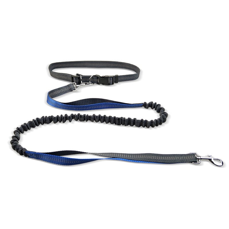 MASONARY™️ Dog Walking Belt with Detachable Shockproof Leash