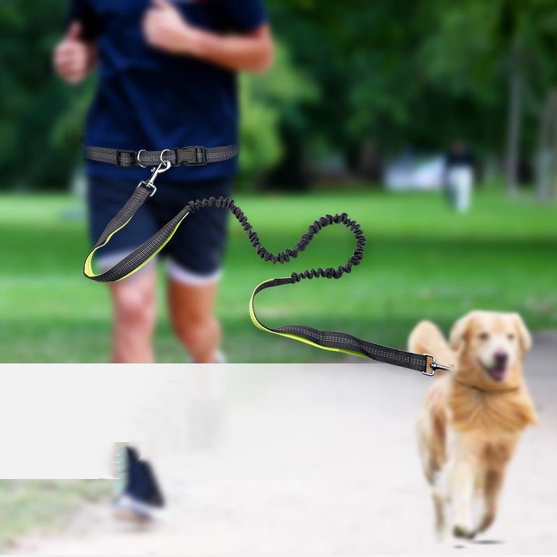 MASONARY™️ Dog Walking Belt with Detachable Shockproof Leash