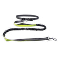 MASONARY™️ Dog Walking Belt with Detachable Shockproof Leash
