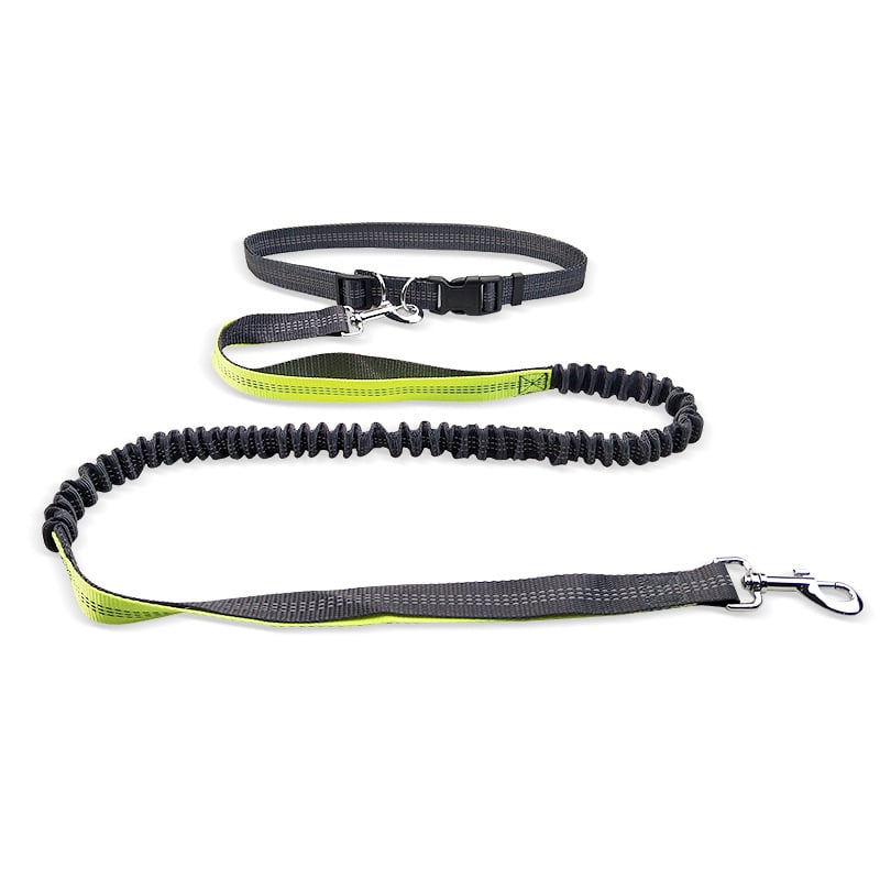 MASONARY™️ Dog Walking Belt with Detachable Shockproof Leash