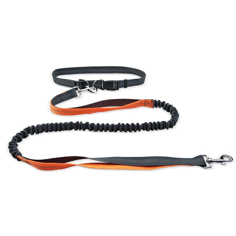MASONARY™️ Dog Walking Belt with Detachable Shockproof Leash