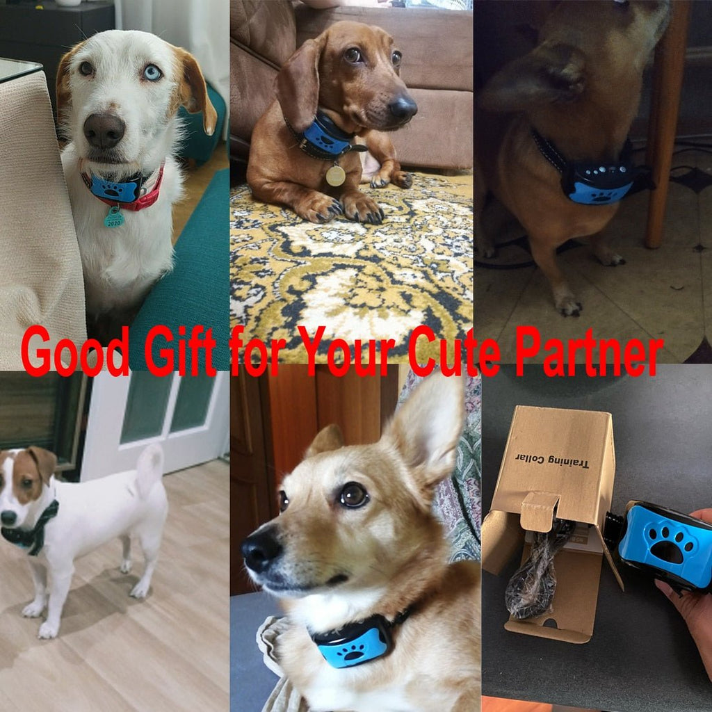 MASONARY™️ Ultrasonic Anti-Bark Dog Training Collar