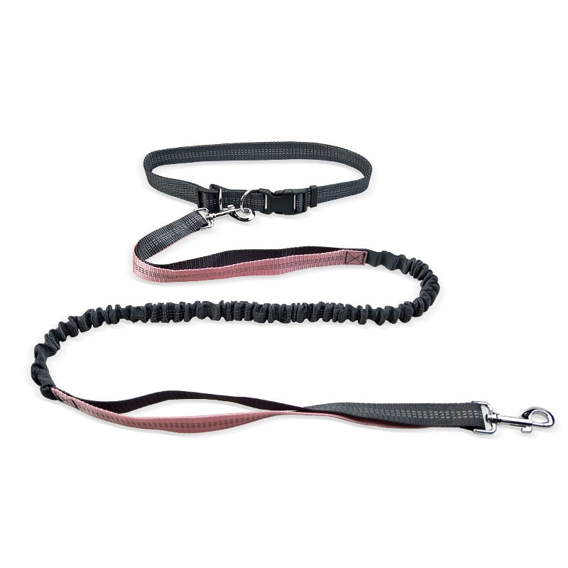 MASONARY™️ Dog Walking Belt with Detachable Shockproof Leash